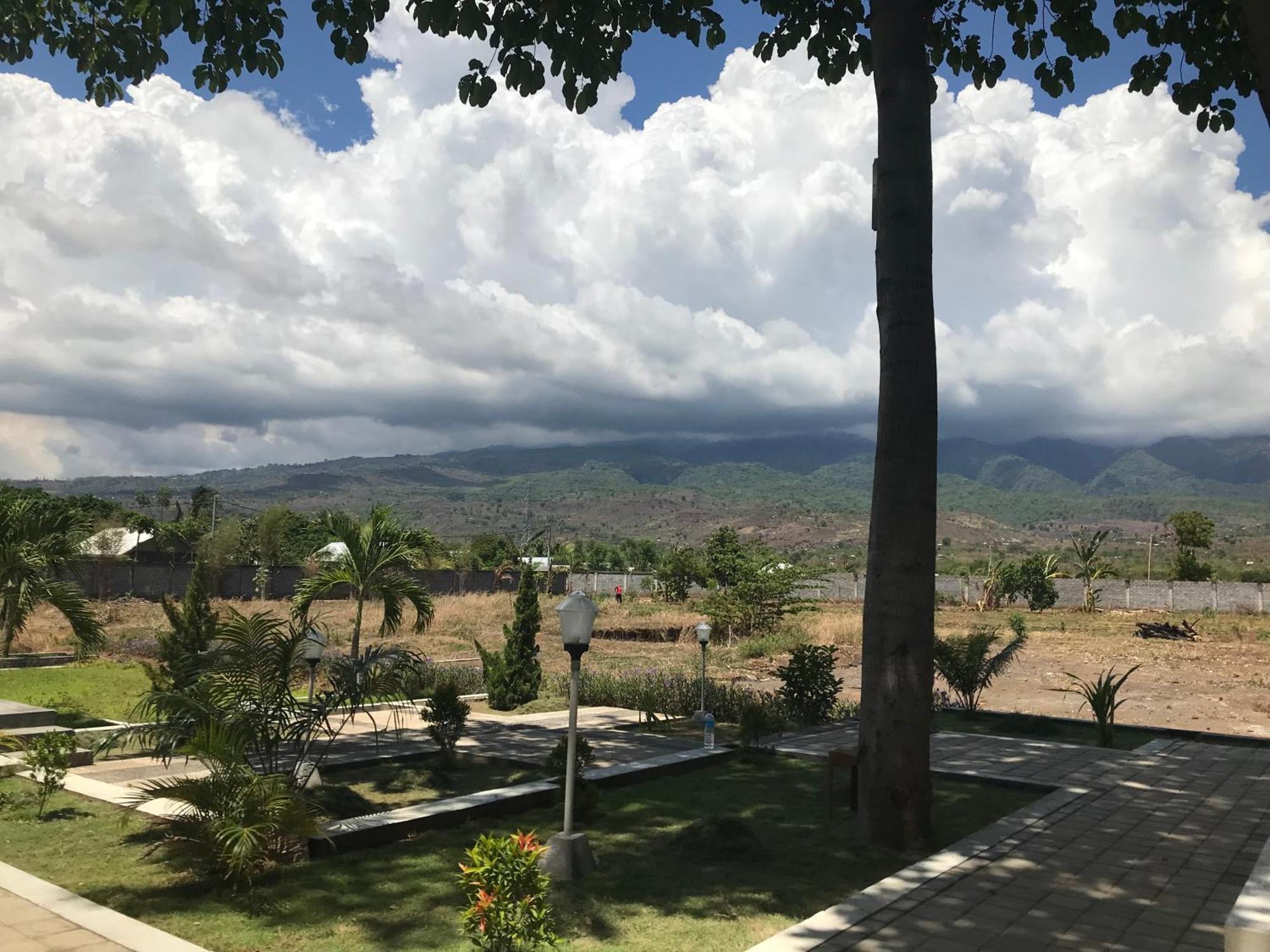 Pohon Purba Resort & Restaurant Labuhan Pandan Экстерьер фото