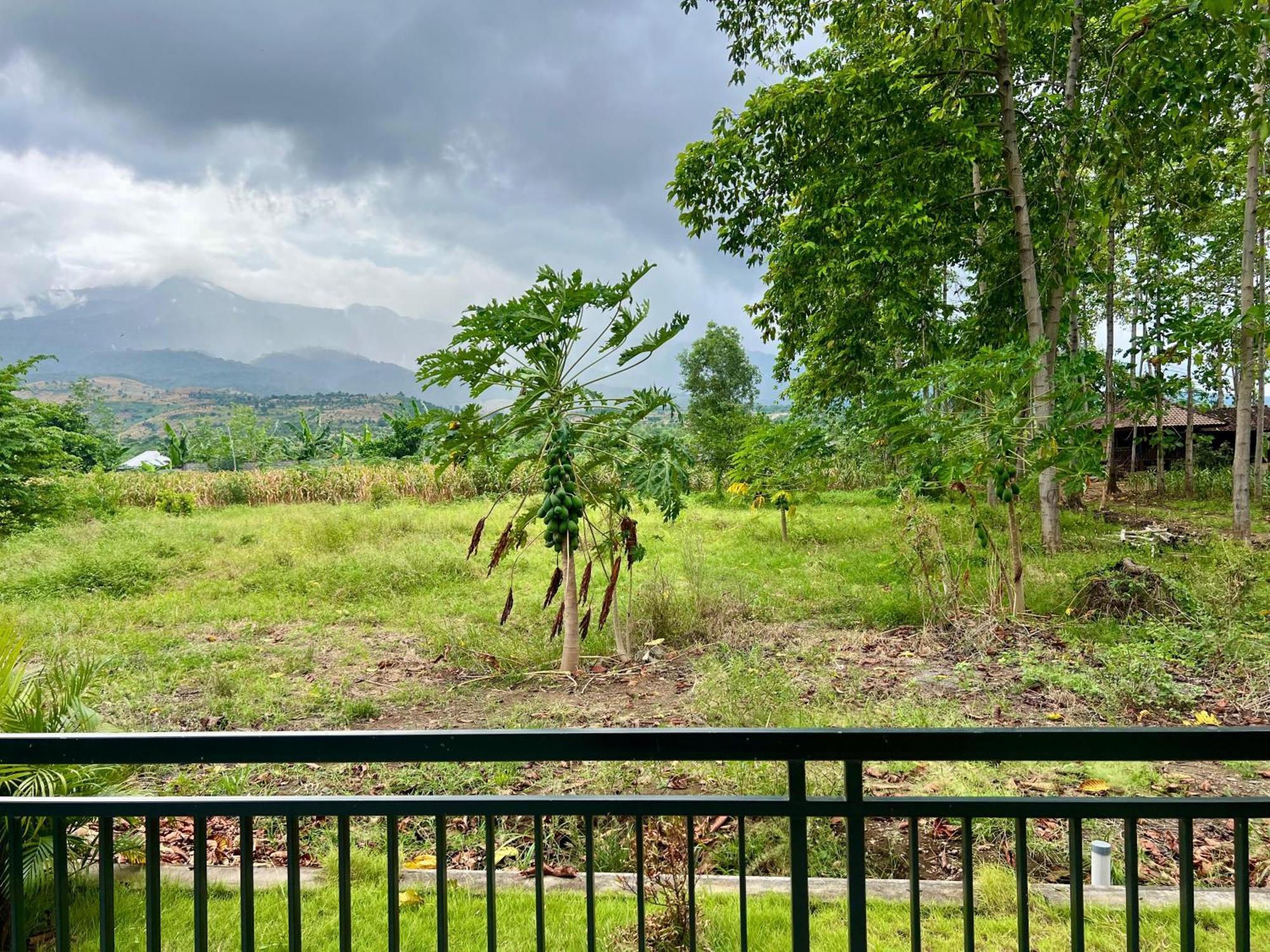 Pohon Purba Resort & Restaurant Labuhan Pandan Экстерьер фото